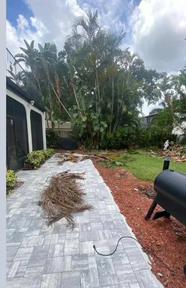 Yard debris before cleanup